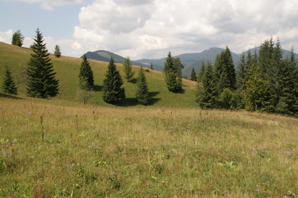  Hochalm Hășmaș Gebirge