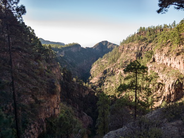 Barrancos bei Adeje Teneriffa