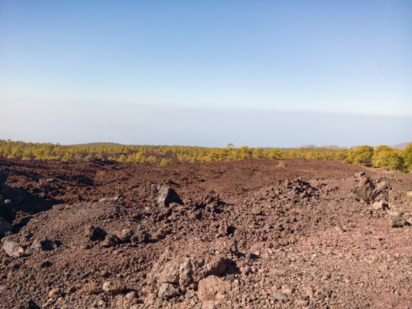 Vulkanlandschaft Teneriffa