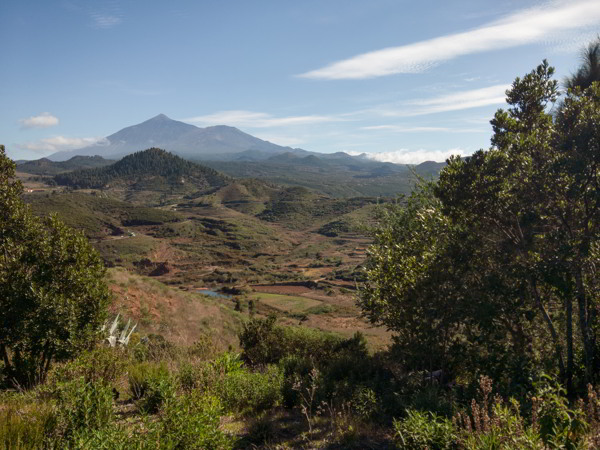 auf dem Weg von Los Llanos nach El Palmar