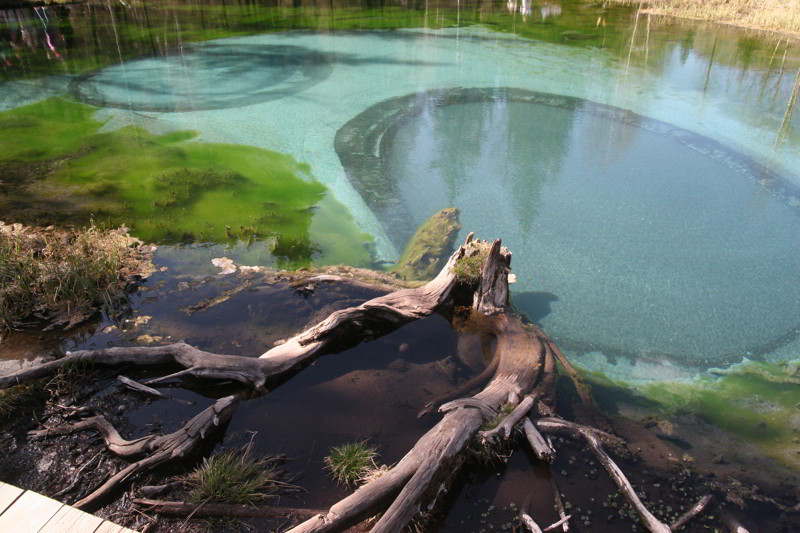 Altai
