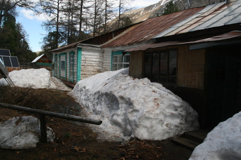 Altai