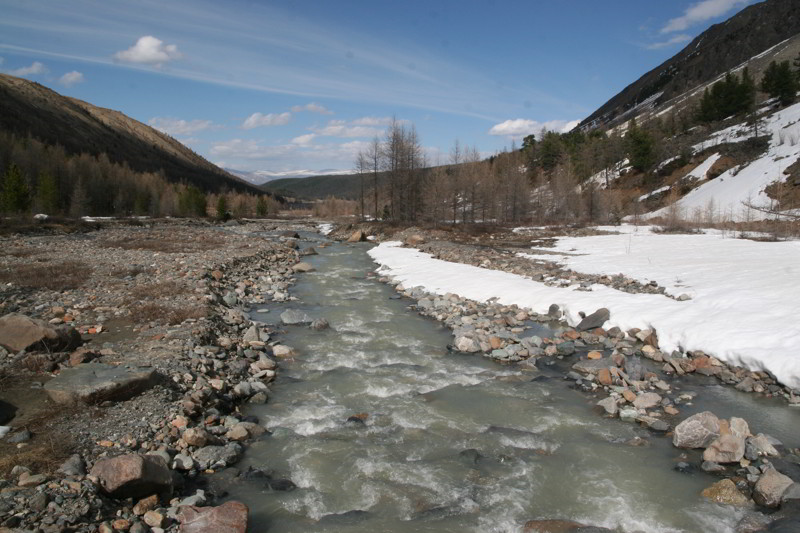 Altai