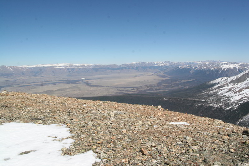 Altai
