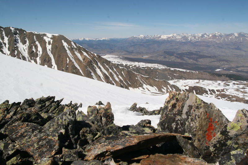 Altai