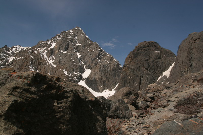 Altai
