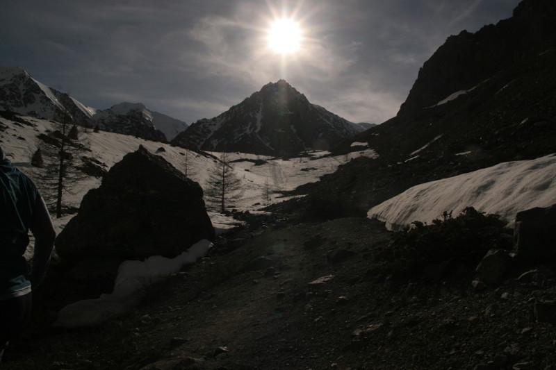 Altai