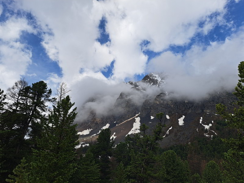 Altai