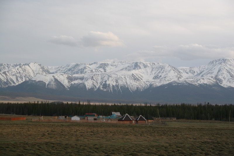 Altai