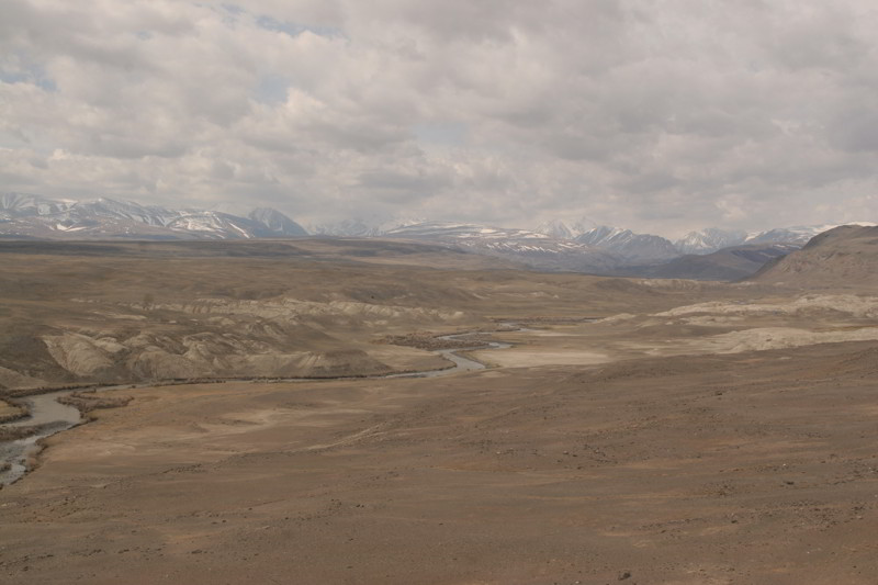 Altai