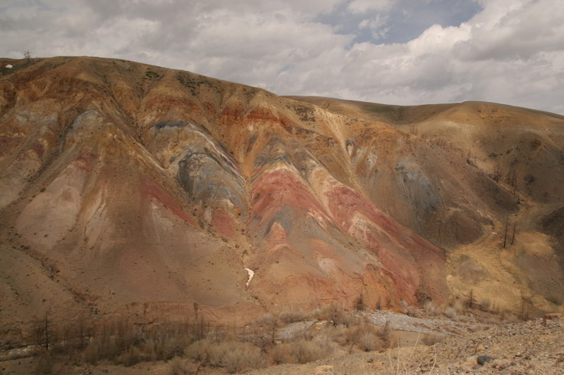 Altai