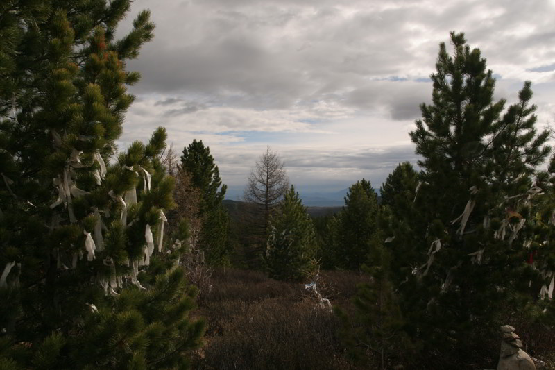 Altai