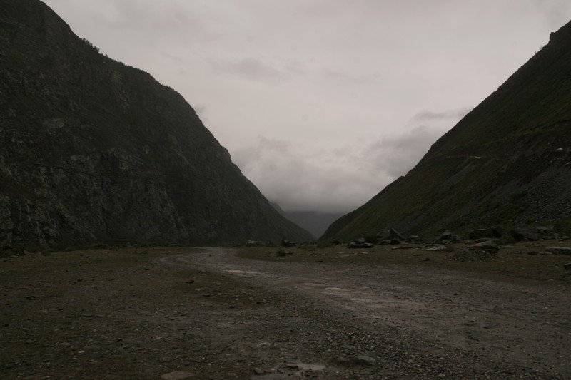 Altai