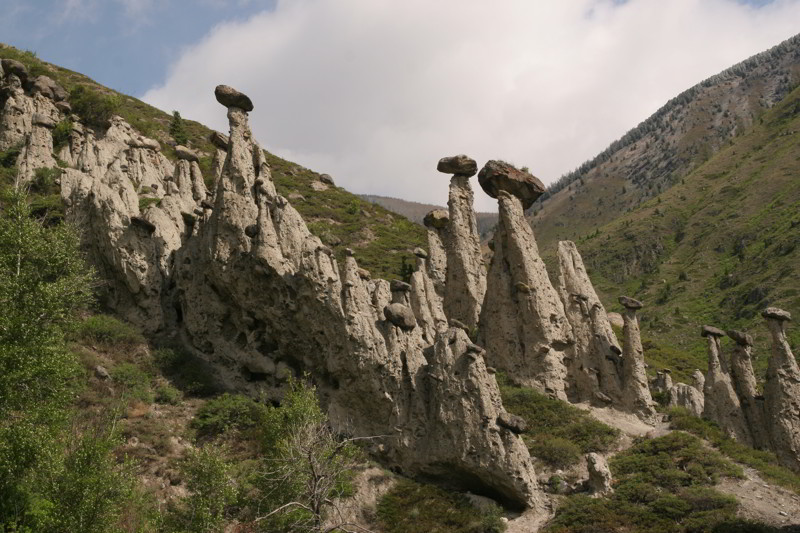 Altai