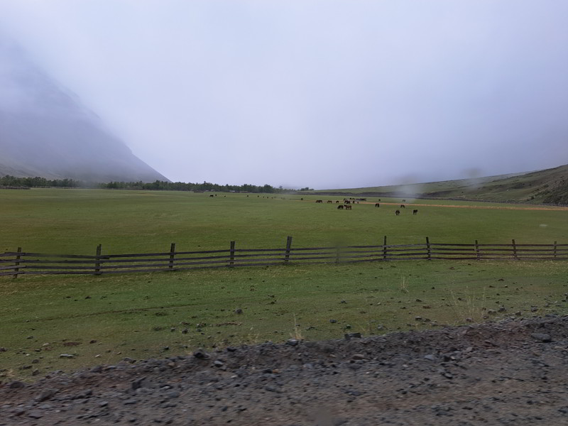 Altai