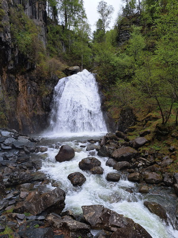 Altai