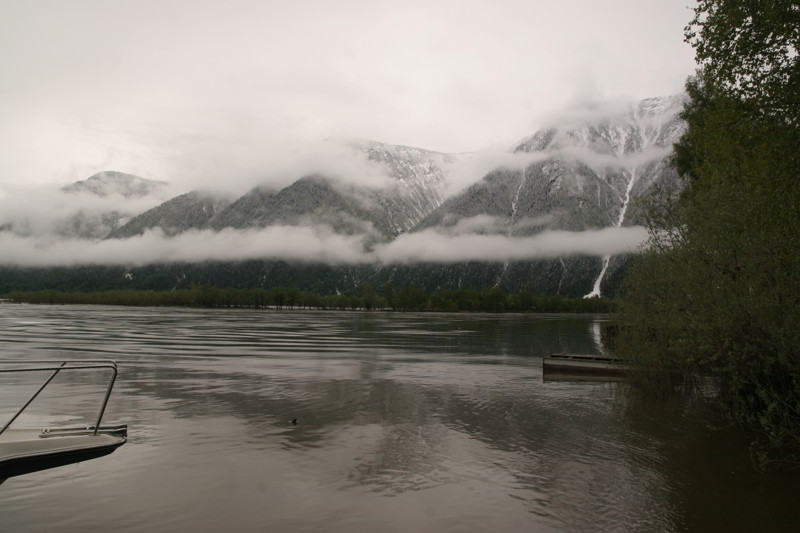 Altai