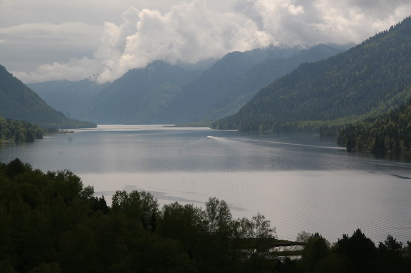 Altai