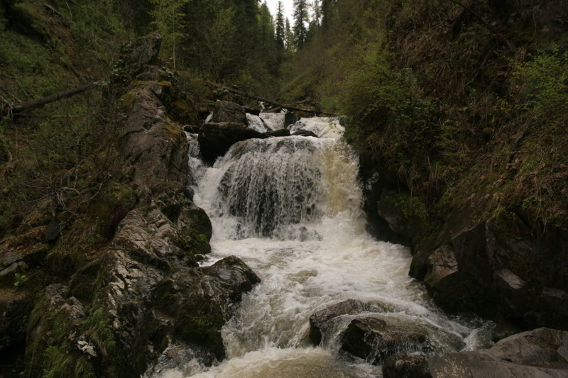 Altai