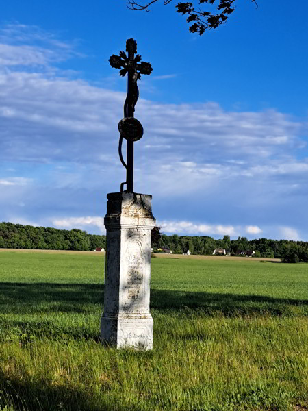 Auf dem Schwarze-Elster Radweg