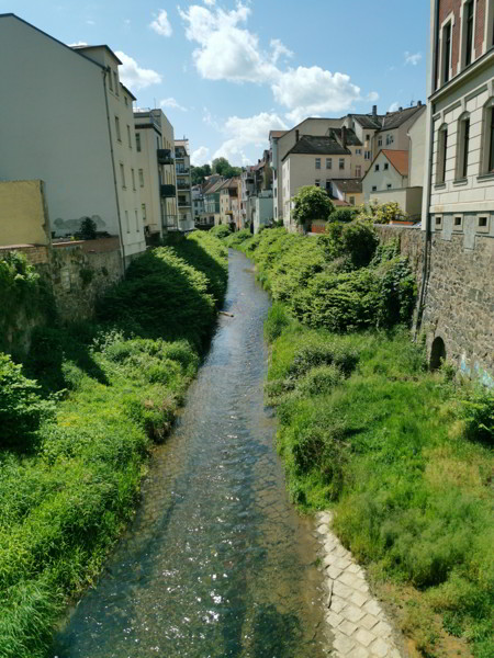 Auf dem Elberadweg