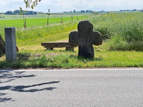 Auf dem Elberadweg