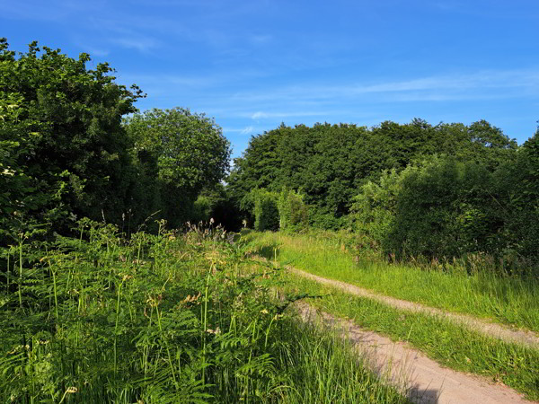 Mit dem Fahrrad durch Holstein