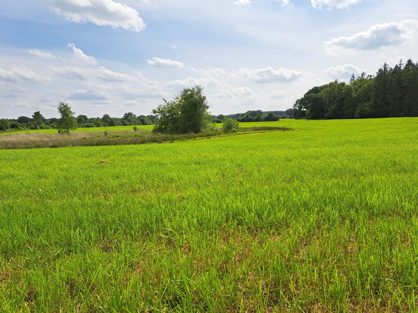 Mit dem Fahrrad durch Holstein