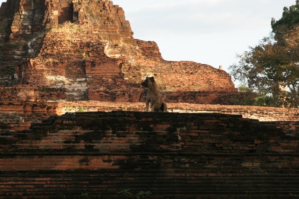 Die thailändische Provinzstadt Ayutthaya