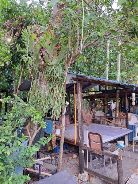 Teluk Bahang