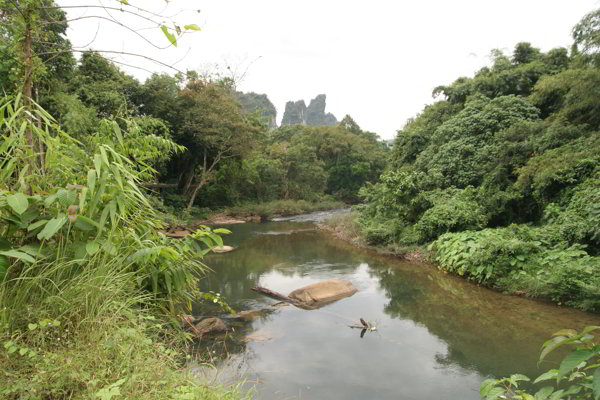 Khao Sok