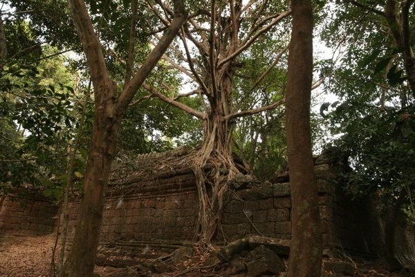 Seam Reap