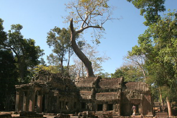 Seam Reap