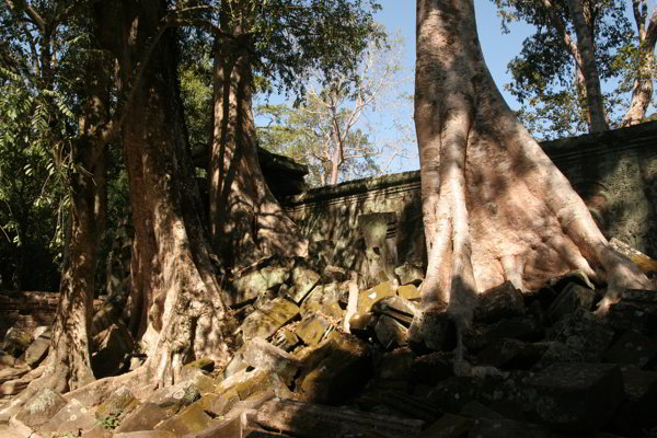 Seam Reap