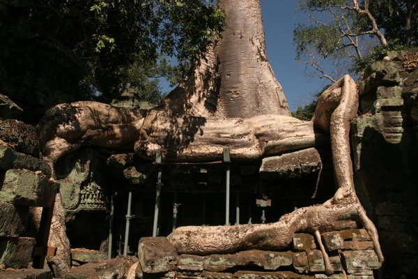 Seam Reap