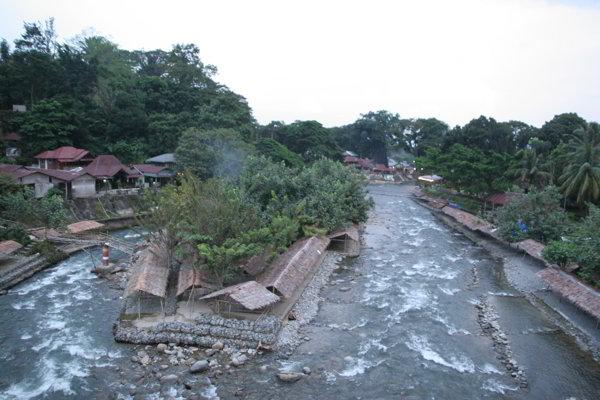 Bukit Lawang