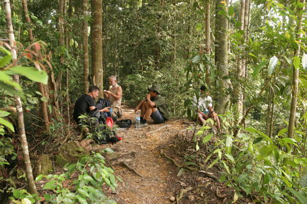 Bukit Lawang