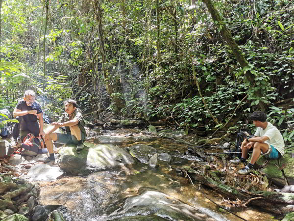 Bukit Lawang