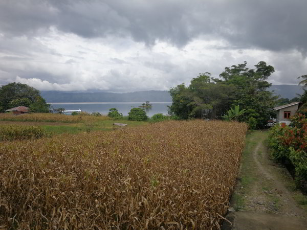 Samosir