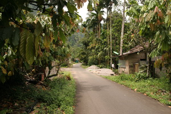 Manihdjau
