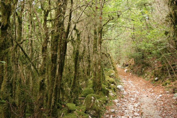 Saint-Claude Wanderung Saint-Claude Wanderung