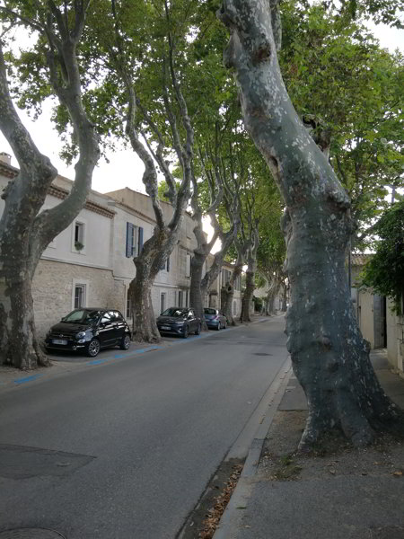 Frankreich Bédonès
