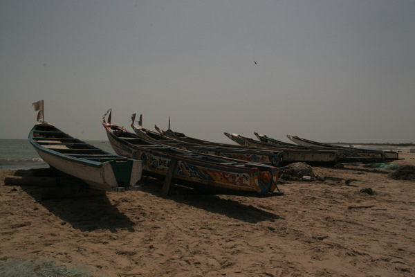 Fischerboote in Gambia Fischerboote in Gambia