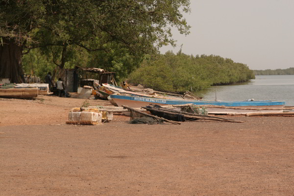 Küste in Gambia