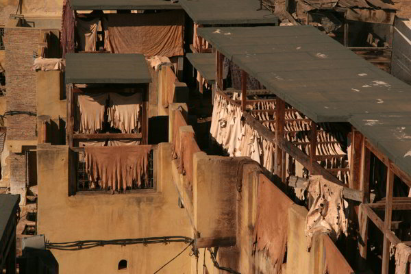 Fès