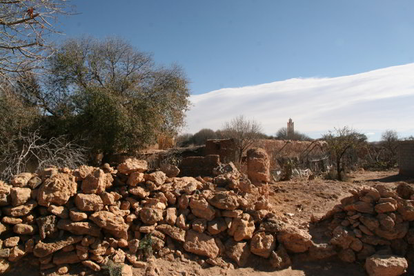 Taliouine