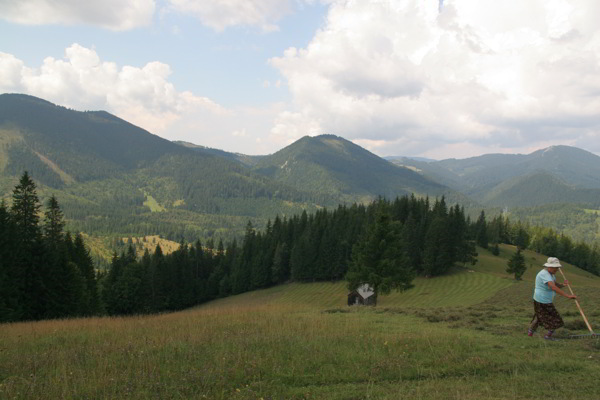  Hochalm Hășmaș Gebirge