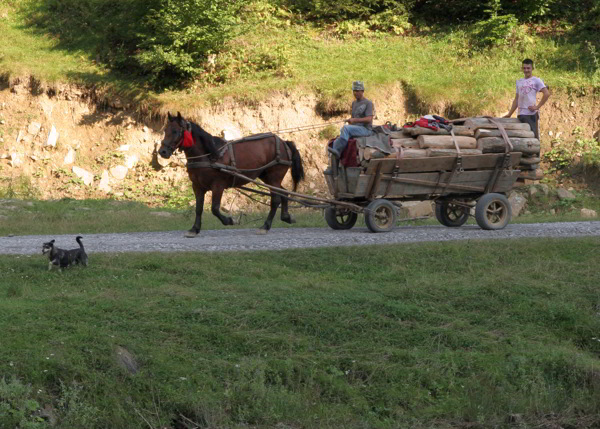 Pferdewagen