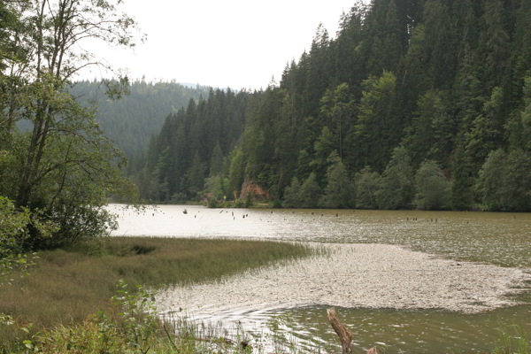 Am roten See /  Lacu Roschu