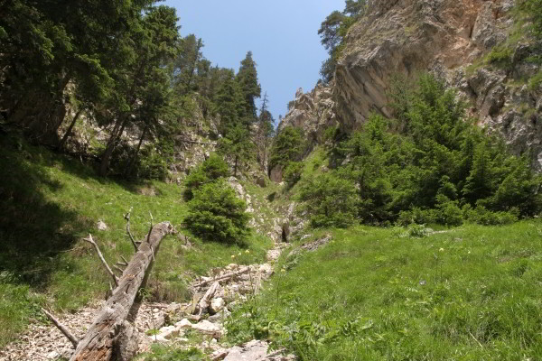 Wandern im Piatra Craiulu Wandern im Piatra Craiului